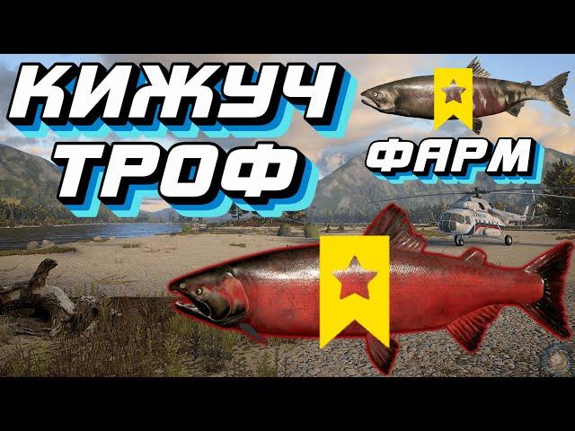 600 серебра за час + Кижуч ТРОФ | р. Яма | Русская Рыбалка 4