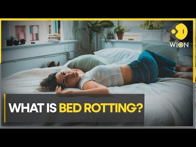 Bed rotting: The new Gen-Z self-care trend | Lifestyle News | WION