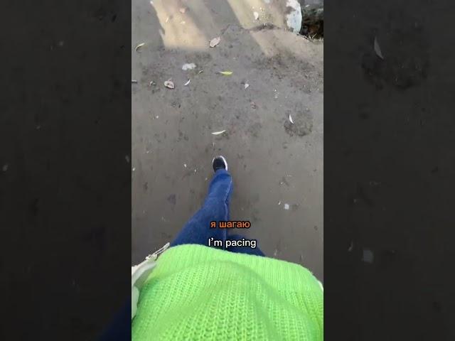 Verbs of motion in Russian