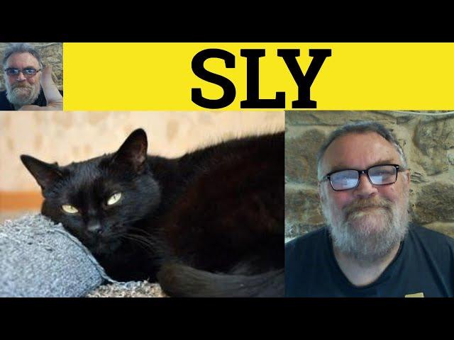  Sly Meaning - Sly Examples - On the Sly Definition - IELTS Adjectives - Sly