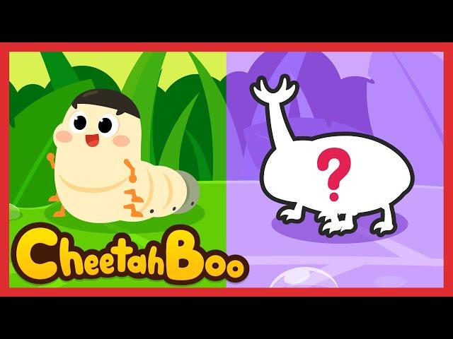 What will I be when I grow up? + Insect songs | Nursery rhymes | Kids song | #Cheetahboo