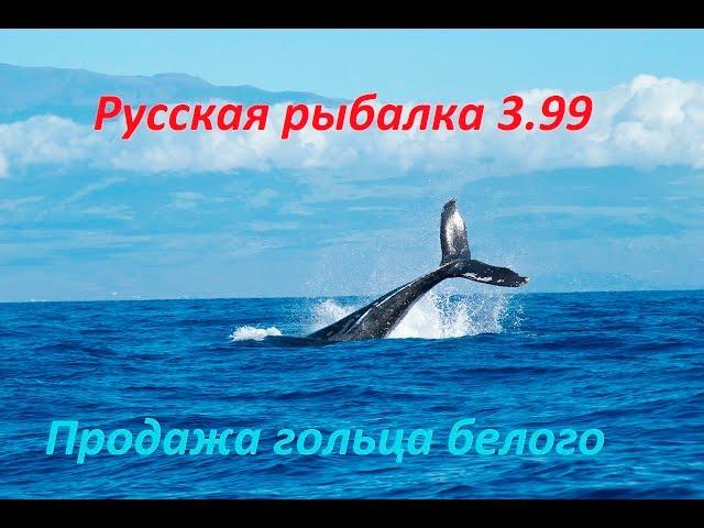 Русская рыбалка 3 99 Продажа белого гольца