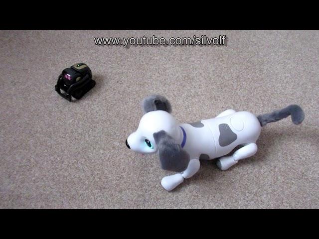 Anki Vector and Zoomer Playful Pup