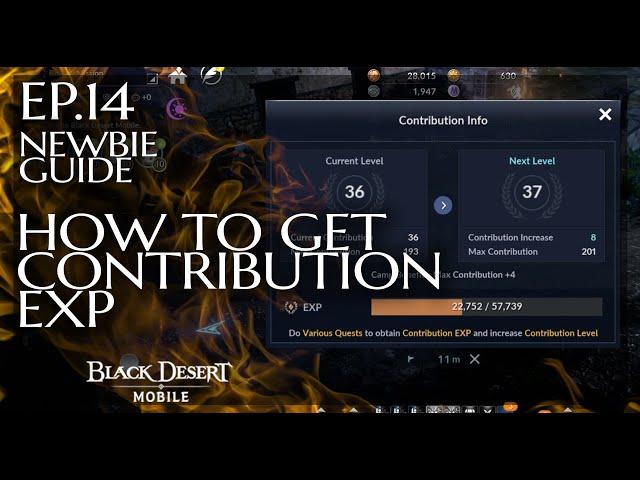 Black Desert mobile : How To Get Contribution points to hire workers