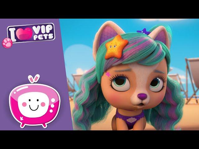  STELLA VE YILDIZ  VIP PETS  Yeni Dizi  Yeni Bölüm  Türkçe Çizgi Film