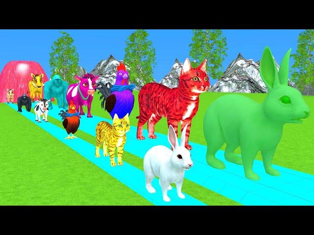 Paint & Animals Cow,Gorrila,Elephant,Sheep,Deer,Tiger, Fountain Crossing Transformation Cartoon