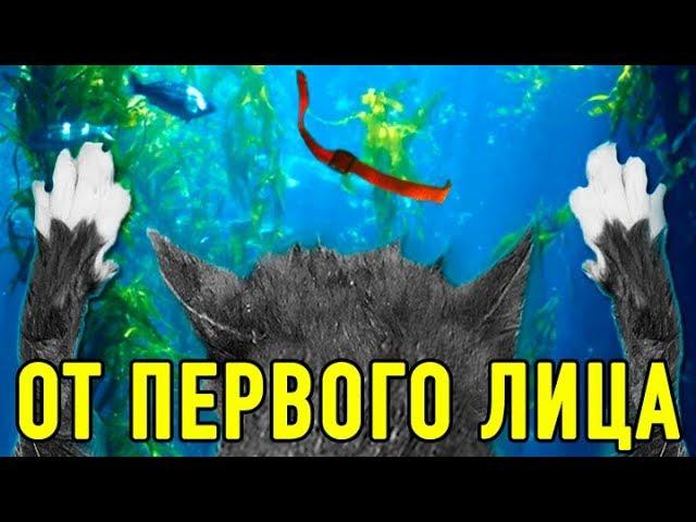 КОРОЧЕ ГОВОРЯ, Я УТОНУЛА! ОТ ПЕРВОГО ЛИЦА ГЛАЗАМИ КОШКИ КИСЫ АЛИСЫ