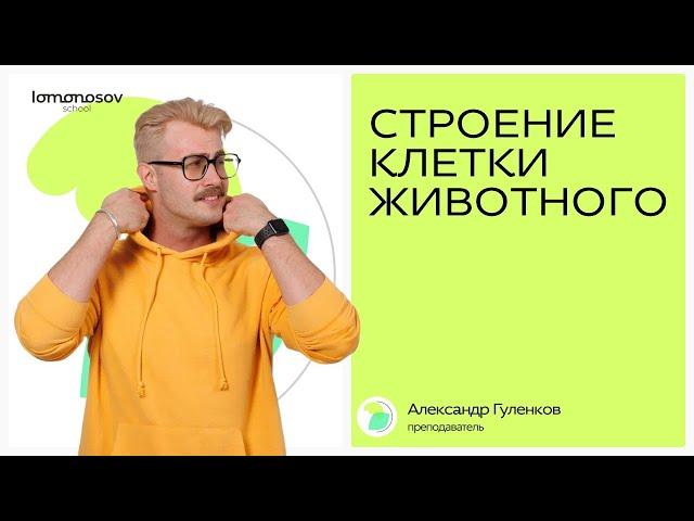 Строение КЛЕТКИ ЖИВОТНОГО для ЕГЭ по биологии