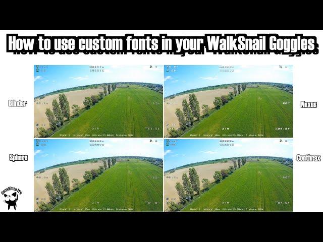 How to use custom (and much better) fonts in your WalkSnail Avatar HD goggles