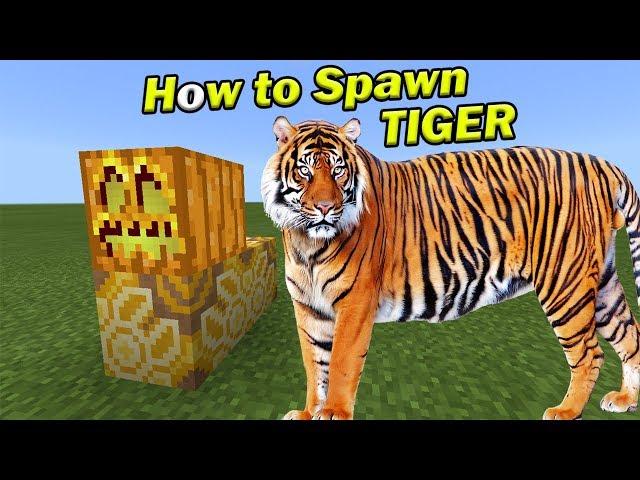 How to Spawn a TIGER | Minecraft PE