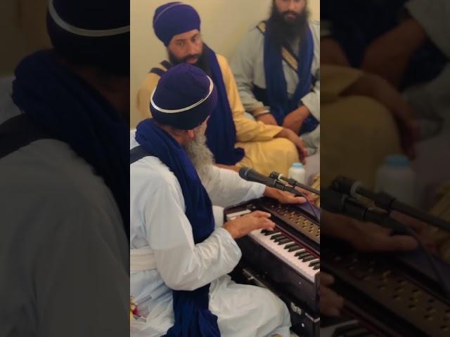 Sant baba Avtar singh ji Dal baba Bidhi Chand sahib ji Sur singh wale