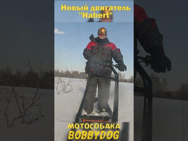 Мотобуксировщик "БоббиДог". Всесезонный