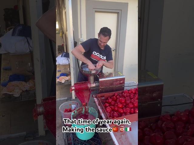 Sauce time The summer tradition of making tomato passata sauce ️ #tomatosauce #passata