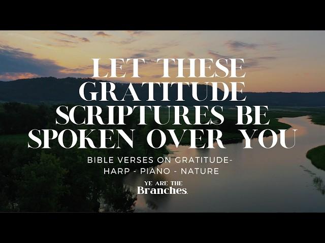 Healing Nature & Harp Sounds w/Scriptures on “Gratitude” spoken aloud #asmr #lofi #jazz #gospel