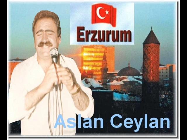 Aslan Ceylan Kara Kız