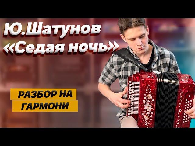 КАК НАДО ИГРАТЬ "СЕДУЮ НОЧЬ" НА ГАРМОНИ // Разбор от Влада Шумкина