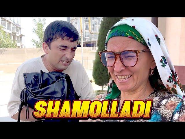 Alfiya kampir - Shamolladi