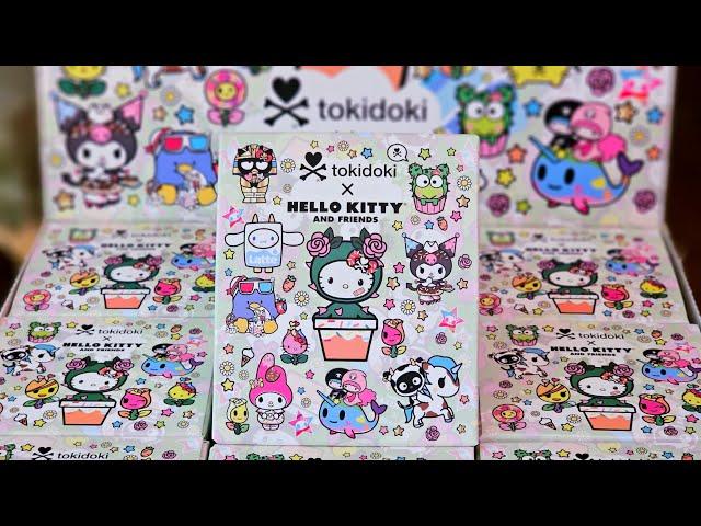 Tokidoki x Hello Kitty and Friends SERIES 2 blindbox case!