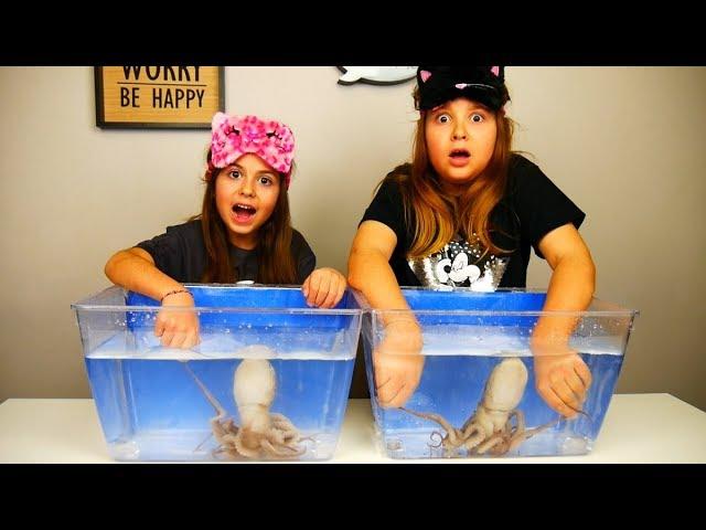 ARIADNI ARTEMI ⭐ ΤΙ ΕΧΕΙ ΜΕΣΑ ΣΤΟ ΝΕΡΟ ?? whats in the box challenge underwater 2019 !!!