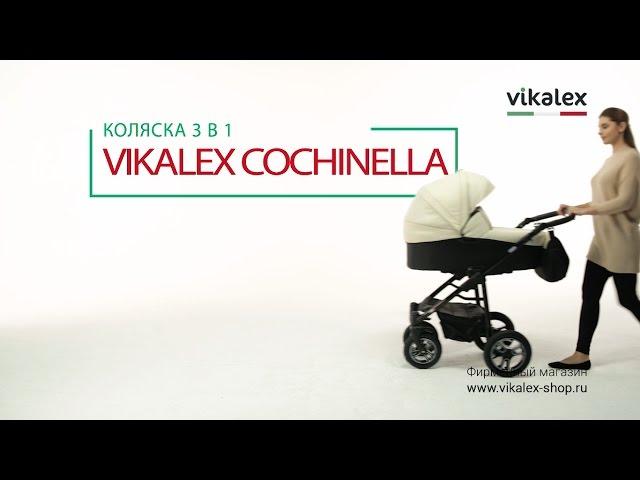 Детская коляска Vikalex Cochinella 3 в 1