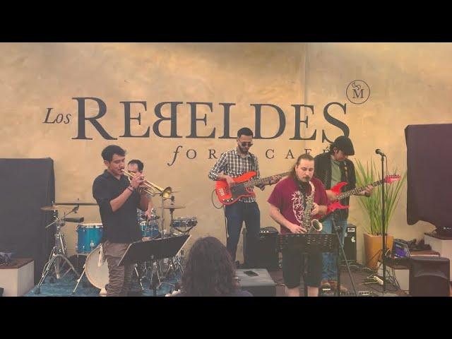 GREEN GROOVE - DELIA (LIVE) en @Los Rebeldes foro-café