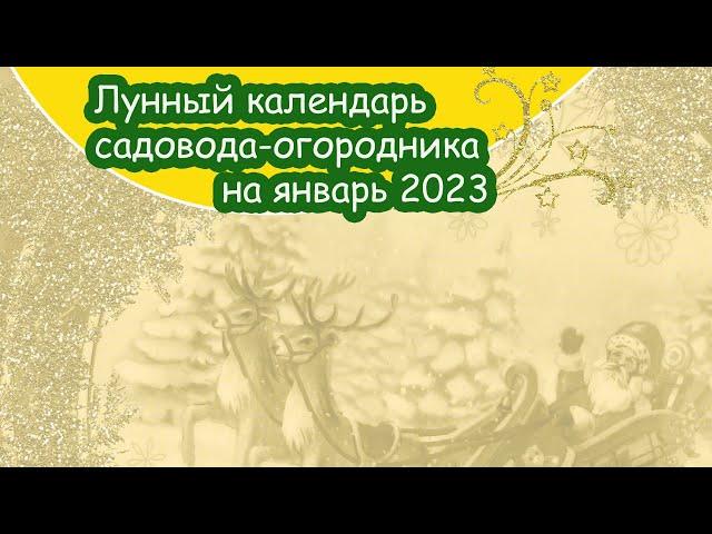 Лунный календарь для садоводов-огородников на январь 2023 года