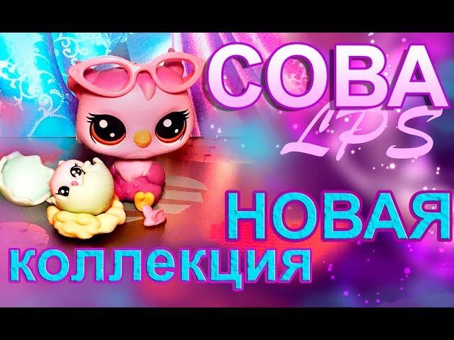 РАСПАКОВКА НОВОЙ КОЛЛЕКЦИИ LPS  2017 -  НАБОР СОВА