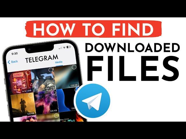 How to Find Downloaded Media Files on Telegram App on iPhone I How To Check Downloads on Telegram