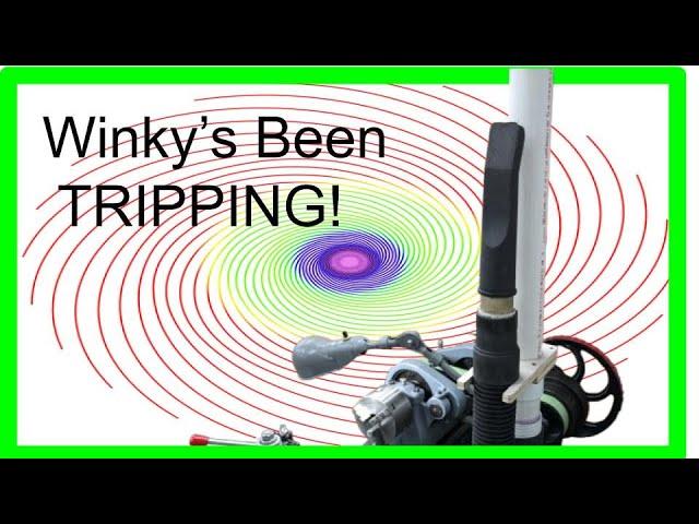 Winky's Tripping - Over his vacuum cleaner hose