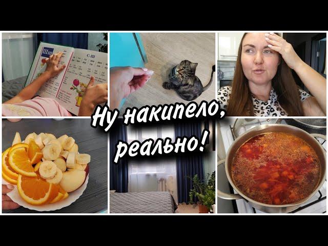 Высказалась, накипело!  Что готовлю из горячегоХочу перестановку Амелия начинает читать