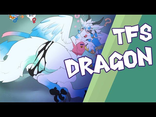 tf tg dragon//transformation dragon