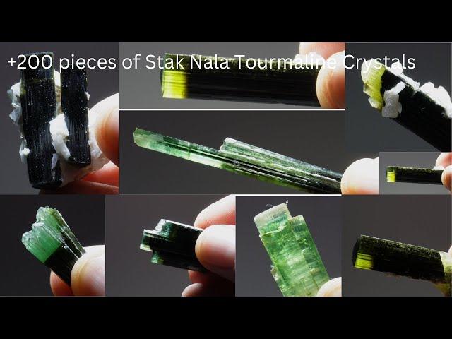 +200 pieces of Stak Nala Tourmaline Crystals | These are Multicolor Tourmaline Cluster