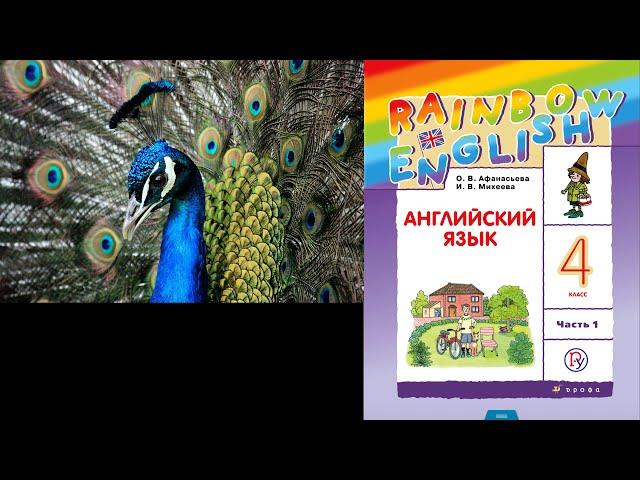 Rainbow English 4-1, Unit 2 Step 6, Английский язык 4 класс ч.1, Афанасьева.