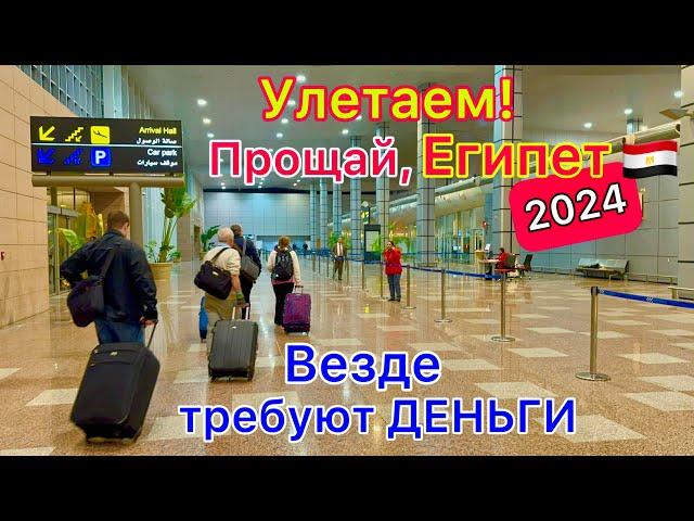 УЛЕТАЕМ и ОБАЛДЕВАЕМ из Египта 2024 ТРЕШ️ Аэропорт Хургада. Везде ТРЕБУЮТ деньги. В чём ПРОБЛЕМА?