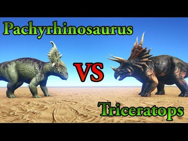 Pachyrhinosaurus VS Triceratops || ARK: Survival Evolved || Cantex