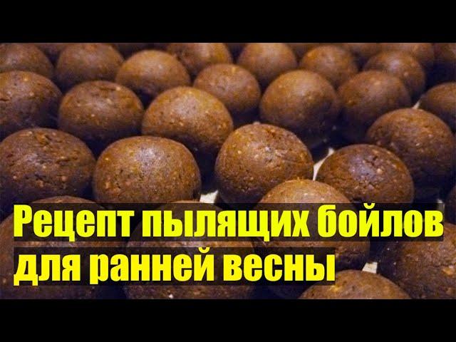 Рецепт пылящих бойлов для ранней весны. Бойлы своими руками.