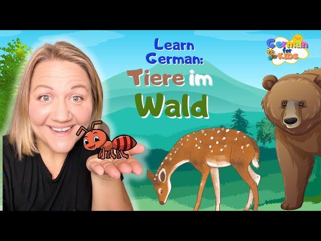 Im Wald | Waldtiere für Kleinkinder | German for Kids | Counting and Colors in German | Forest