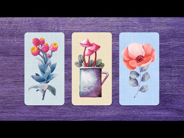 ¿Cuáles son sus intenciones contigo? 🫢 ️‍ Tarot interactivo 