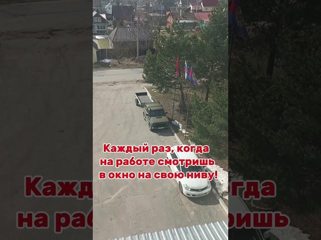 Нива - машина атракцион! #мужскаякаморка #нива #shorts