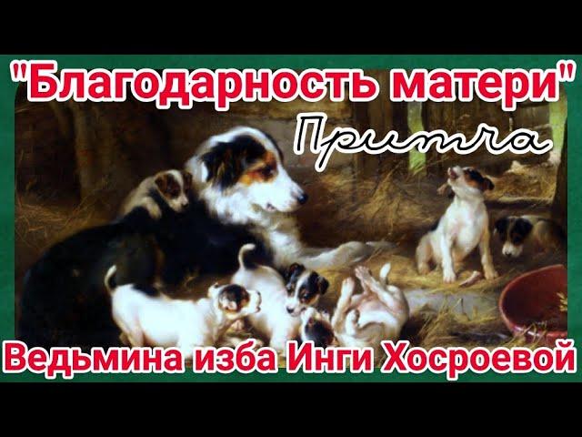 "БЛАГОДАРНОСТЬ МАТЕРИ" ПРИТЧА. ВЕДЬМИНА ИЗБА. ИНГА ХОСРОЕВА.