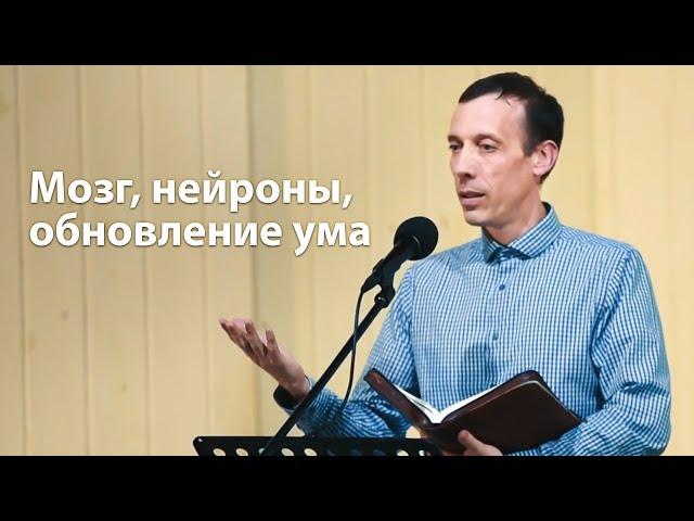 Мозг, нейроны, обновление ума - Михаил Голубин