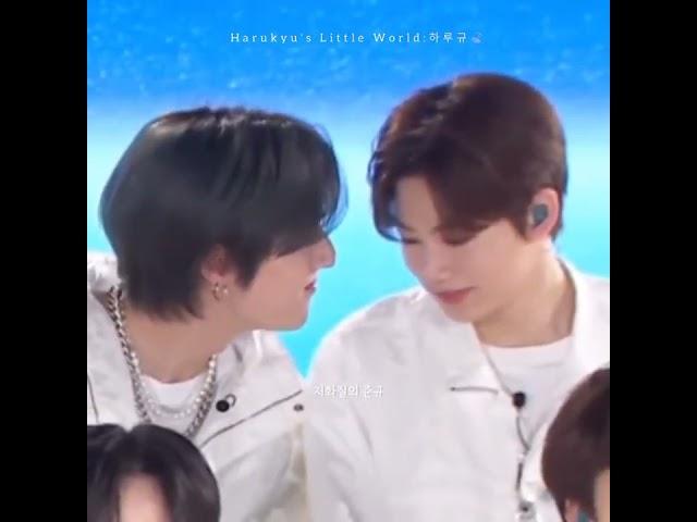 Haruto : Junkyu hyung smells the best [HARUKYU moments]