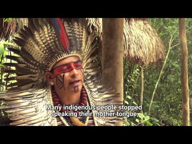 Indigenous tribe in Rio de Janeiro preserves the Guarani language