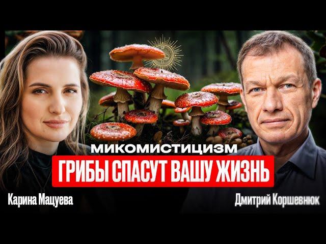 МИКОМИСТИЦИЗМ • ГРИБЫ СПАСУТ ВАШУ ЖИЗНЬ • Карина Мацуева • Дмитрий Коршевнюк