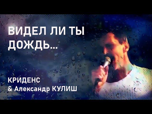 Видел ли ты дождь(Creedence)исп.Александр Кулиш