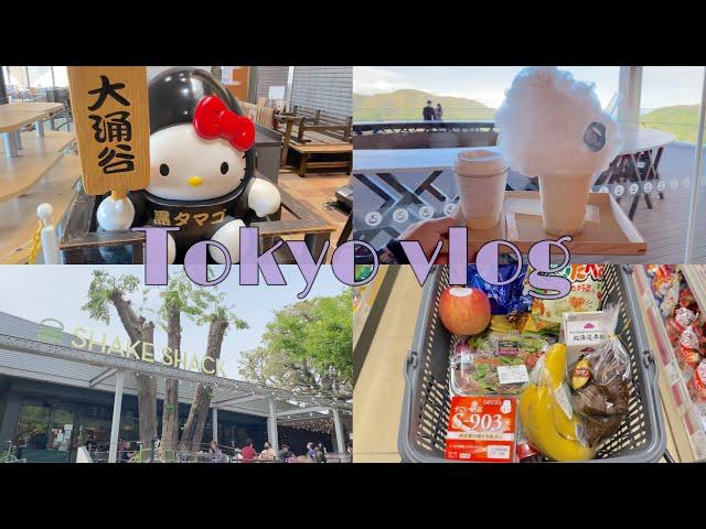 日本旅遊 箱根一日遊 大涌谷 | 東京青山的SHAKESHACK | 超市採購 |買蛋糕|台日夫婦的日常 台日家庭 日本vlog