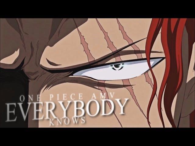 [One Piece AMV] - EVERYBODY KNOWS | 15k+