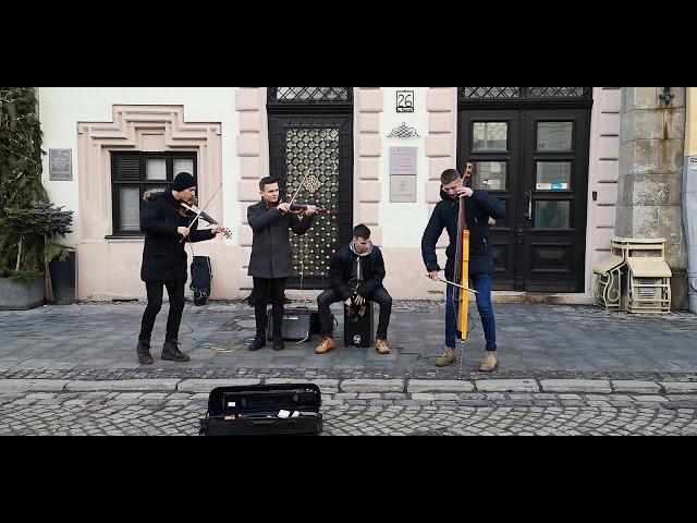 Lviv street musicians  -  Львівські вуличні музиканти