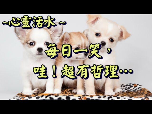 【心靈活水】每日一笑，哇！超有哲理…