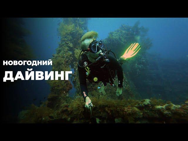 Новогодний дайвинг на Бали - VLOG Амед 2022